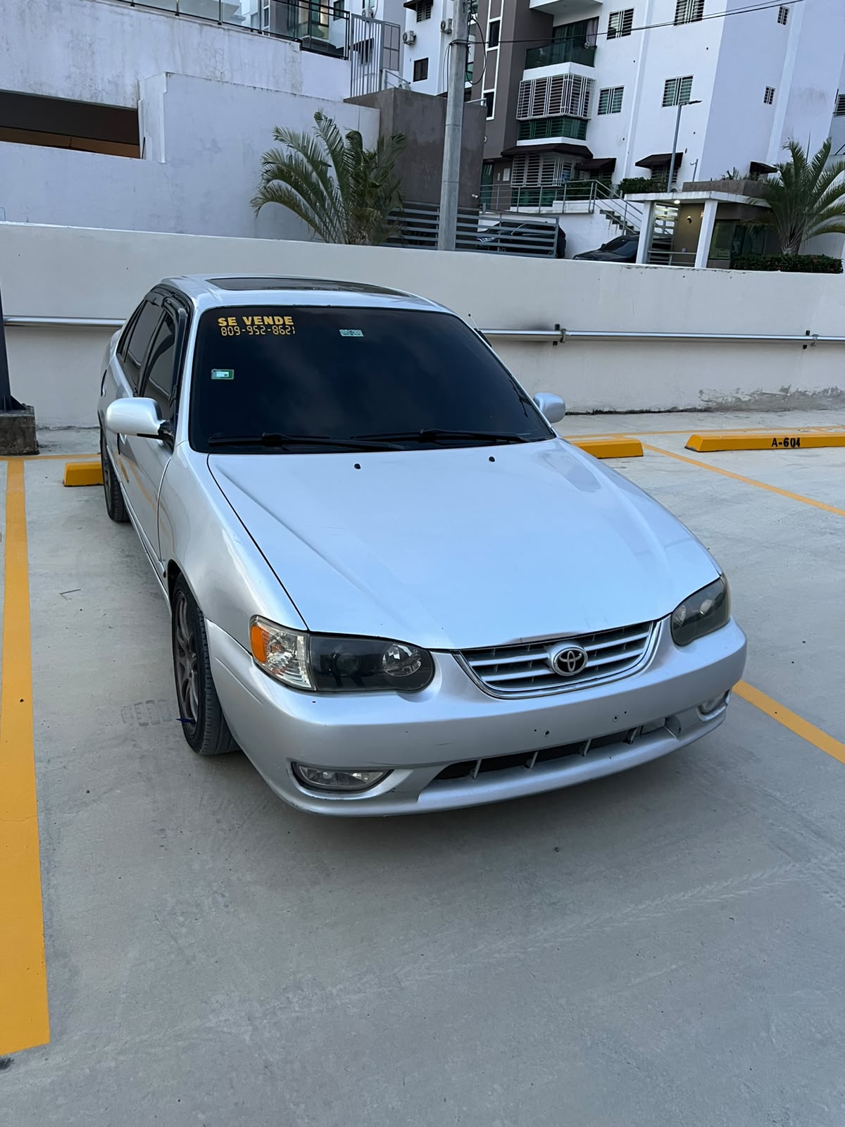 TOYOTA Corolla 1998