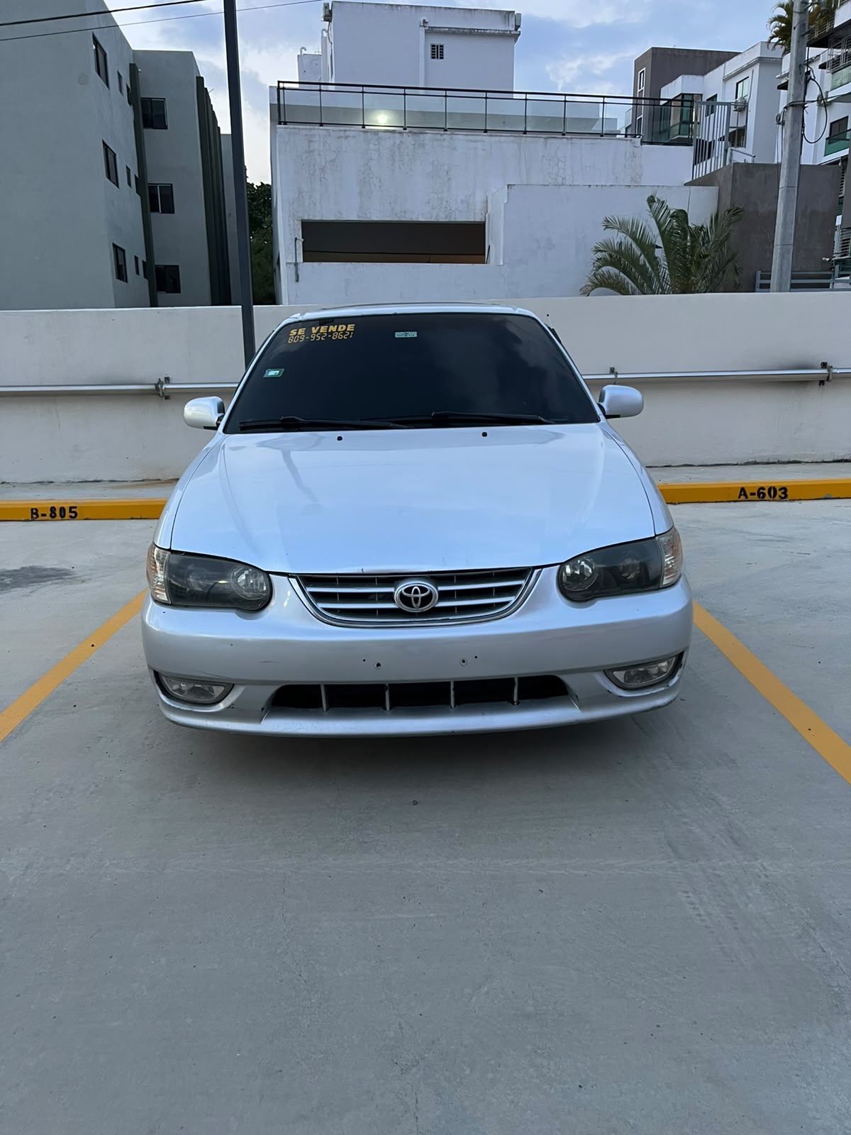TOYOTA Corolla 1998
